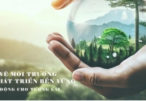 Vai trò của AI trong việc cân bằng giữa phát triển kinh tế và bảo vệ môi trường