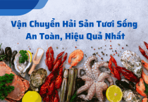 Tối Ưu Hóa Vận Chuyển Hàng Hóa Tươi Sống: Giải Pháp Hiệu Quả Cho Doanh Nghiệp
