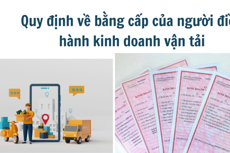 Người điều hành vận tải có được làm cho nhiều doanh nghiệp cùng lúc?