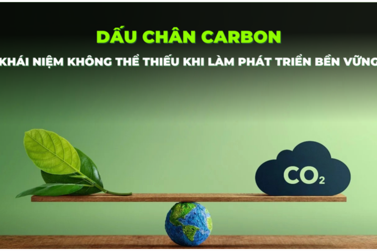 Giảm thiểu dấu chân Carbon trong logistics